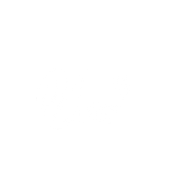 Vloomy